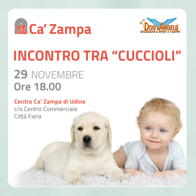 Incontro tra “Cuccioli”